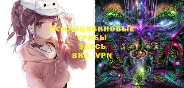 соль ск Майский