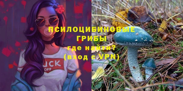 соль ск Майский