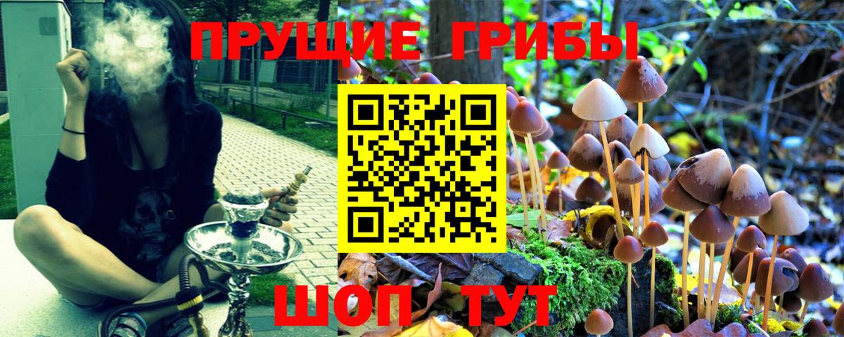Псилоцибиновые грибы мухоморы  Вход с VPN  Галлюциногенные грибы Psilocybe  Сочи 
