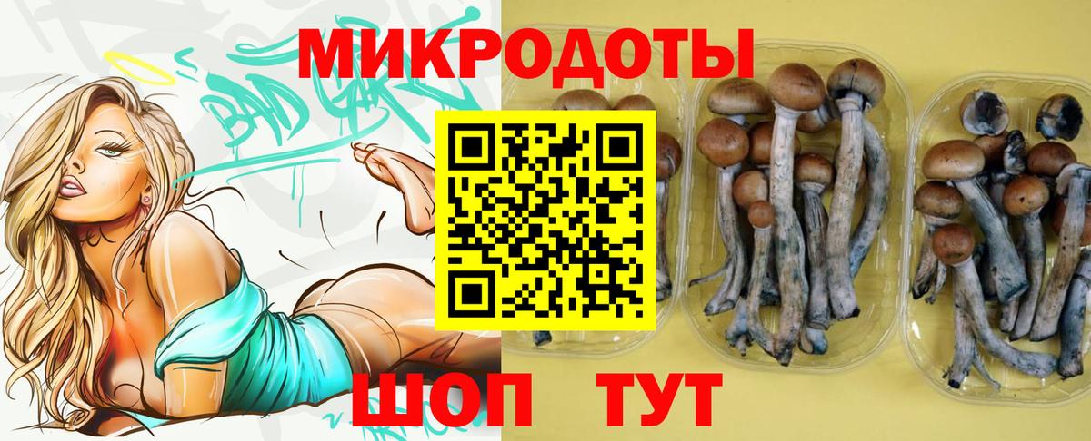 Псилоцибиновые грибы GOLDEN TEACHER Сочи